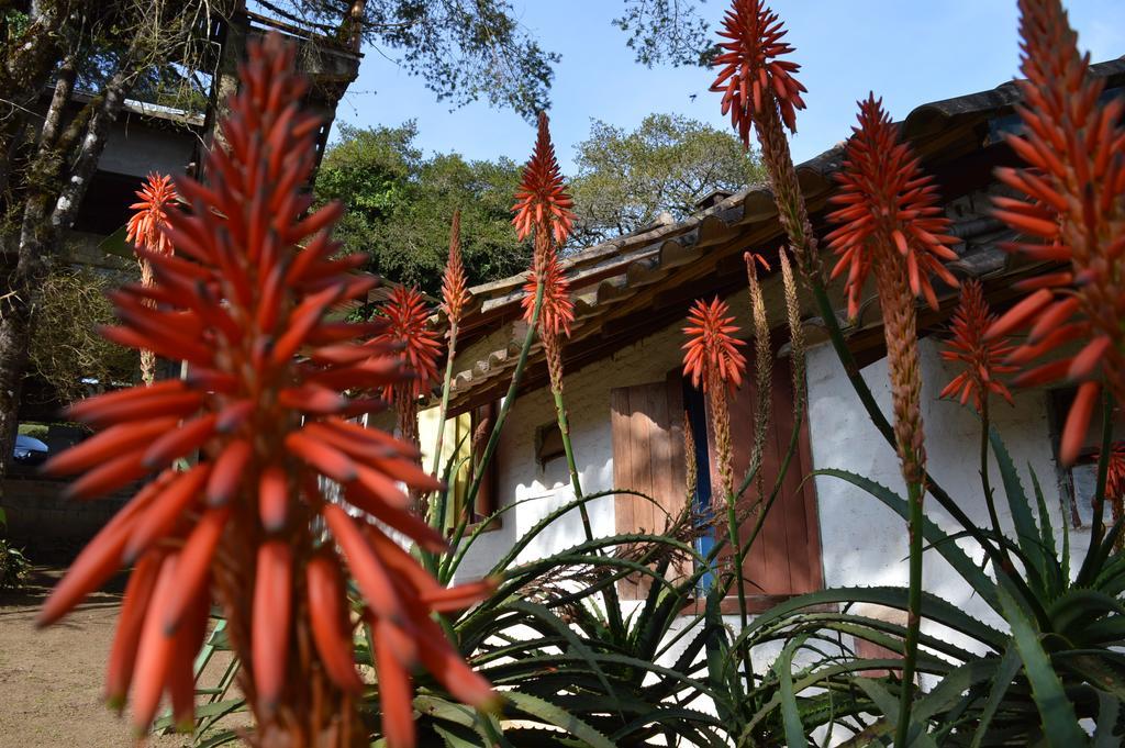 Hôtel A Casinha Pequenina à Monteverde Extérieur photo